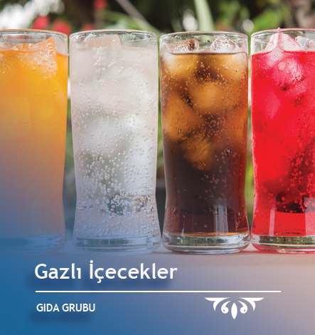 Gazlı İçecekler