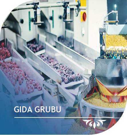 Gıda Grubu